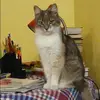 Отзыв от Ольга Медведева